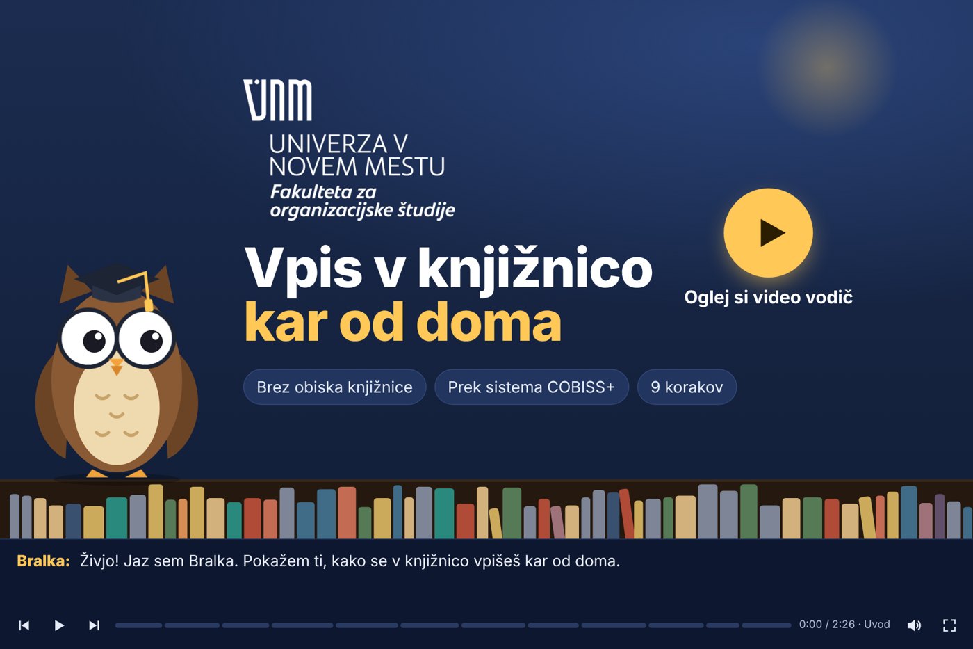 Vodič